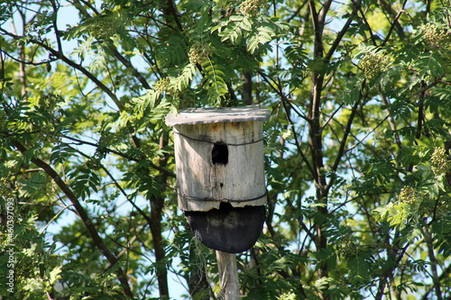 bird house on tree