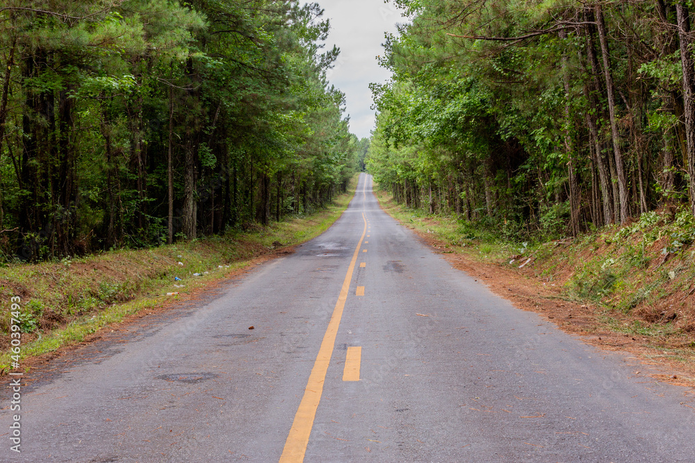 Fototapeta premium Highway Road in the Middle of the Forest