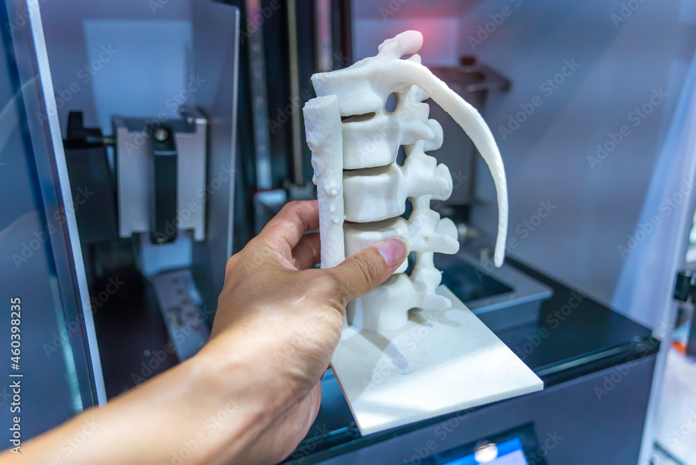 hand with 3d printed human spine in 3d printer. Stock Photo | Adobe Stock
