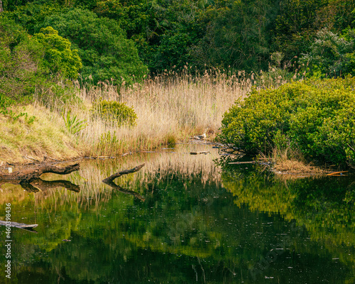 Maitland Bay photo