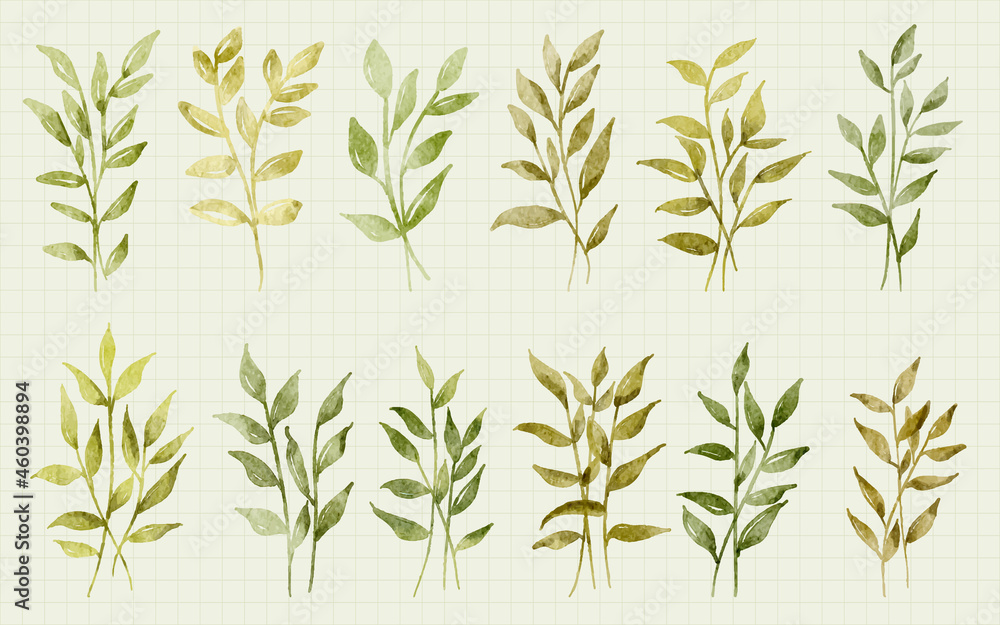 Fototapeta premium Hand painted Leaves watercolor illustration set