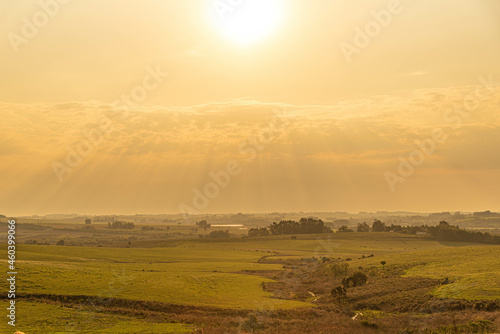 Sunrise in the fields of the pampa biome in southern Brazil