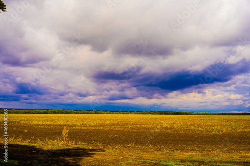 landscape with field and sky