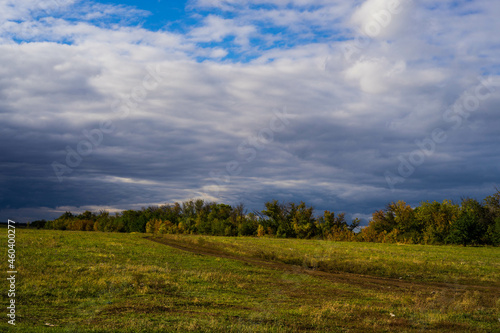 landscape with clouds and forest