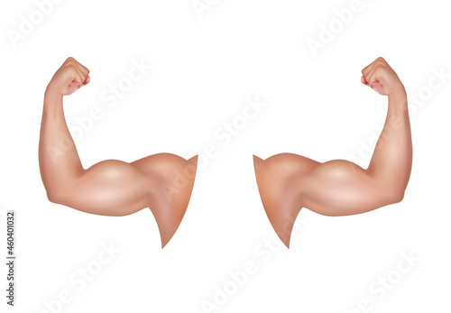 Male arm with a big strong bicep. Healthy power. Tense flex muscles of sportsman. Light brown hand of the sportsman. Fitness and health concept. On a white background. 3D vector EPS10