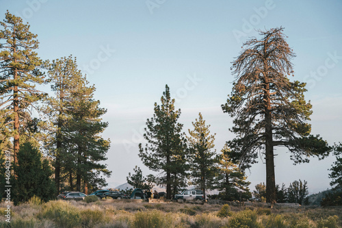 Photos Campers in Big Bear, CA