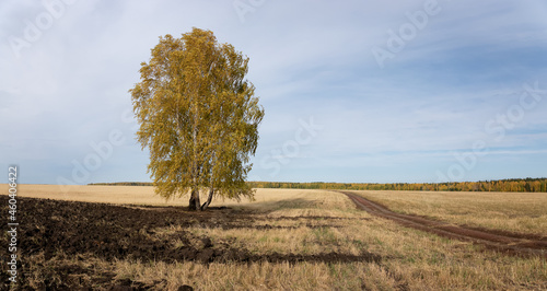autumn landscape in a rural field, Russia, Urals in September