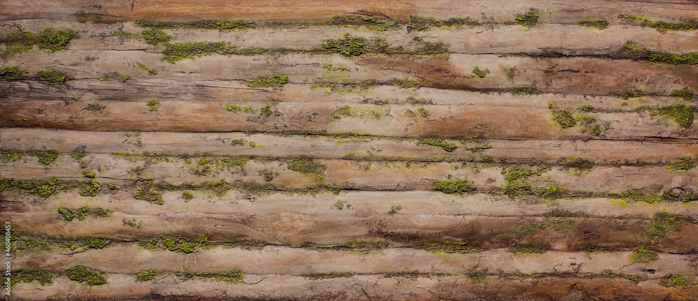 wood texture and background,old wood texture with green moss texture.
wood texture and background,old wood texture with green moss texture.