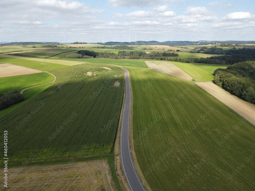 Aerial view of asphalt road between agriculture fields in summer