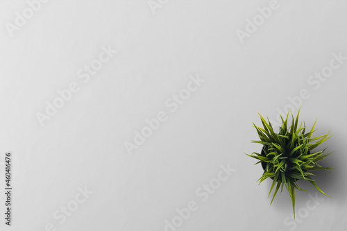 fake small green office plant on work table white clean work table top view shot with copy space free image