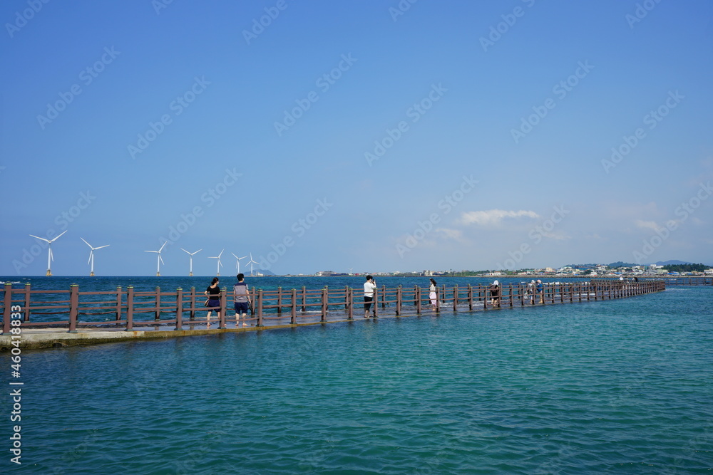 a wonderful seascape with bridge and wind power plants