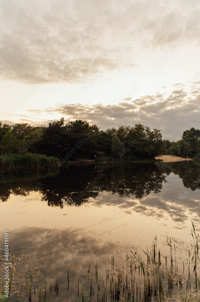 Forest river at sunset. Beautiful summer landscape Forest river at sunset. Beautiful summer landscape