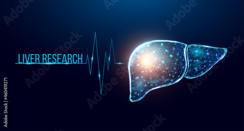 Human liver research. Wireframe low poly style. Concept for medical, pharmacology, treatment of the hepatitis. Abstract modern 3d vector illustration on dark blue background.
