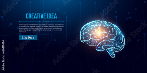 Human brain. Wireframe low poly style. Business idea concept with glowing low poly brain. Abstract modern 3d vector illustration on dark blue background.