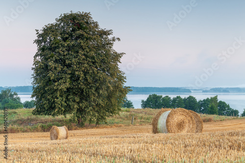 Fototapeta Naklejka Na Ścianę i Meble -  View of the Masurian fields.