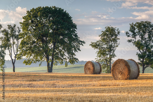 Fototapeta Naklejka Na Ścianę i Meble -  View of the Masurian fields.