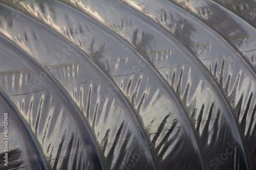 tunnel plastique serre arceaux photo