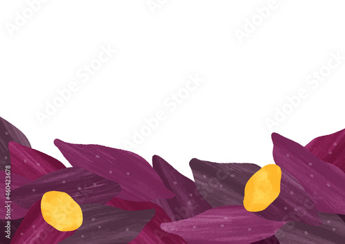 たくさんのさつまいも