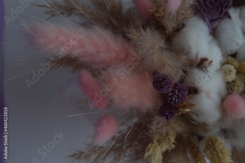 feather on black background