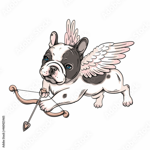 Cute french bulldog puppy with angel wings. Vector illustration in hand-drawn style. Cupid illustration. Image for printing on any surface	