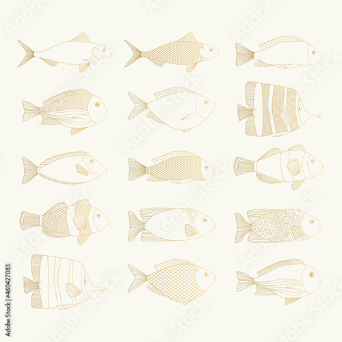 Set of golden outline fish illustrations. Sea gold icons. 