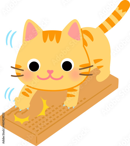 段ボールの爪とぎ板で爪を研ぐ猫