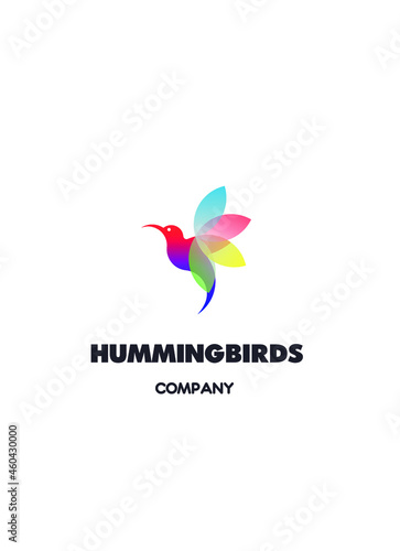 Hummingbirds logo on a light background