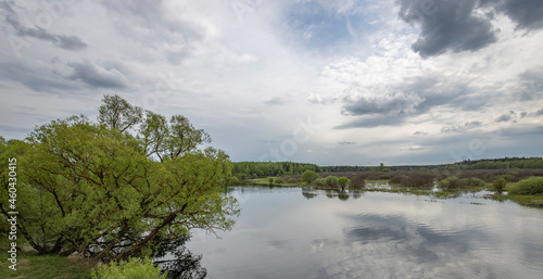 Landscape with a dramatic sky reflected in the river. Early spring  juicy May greens. Bright green foliage on trees and bushes.