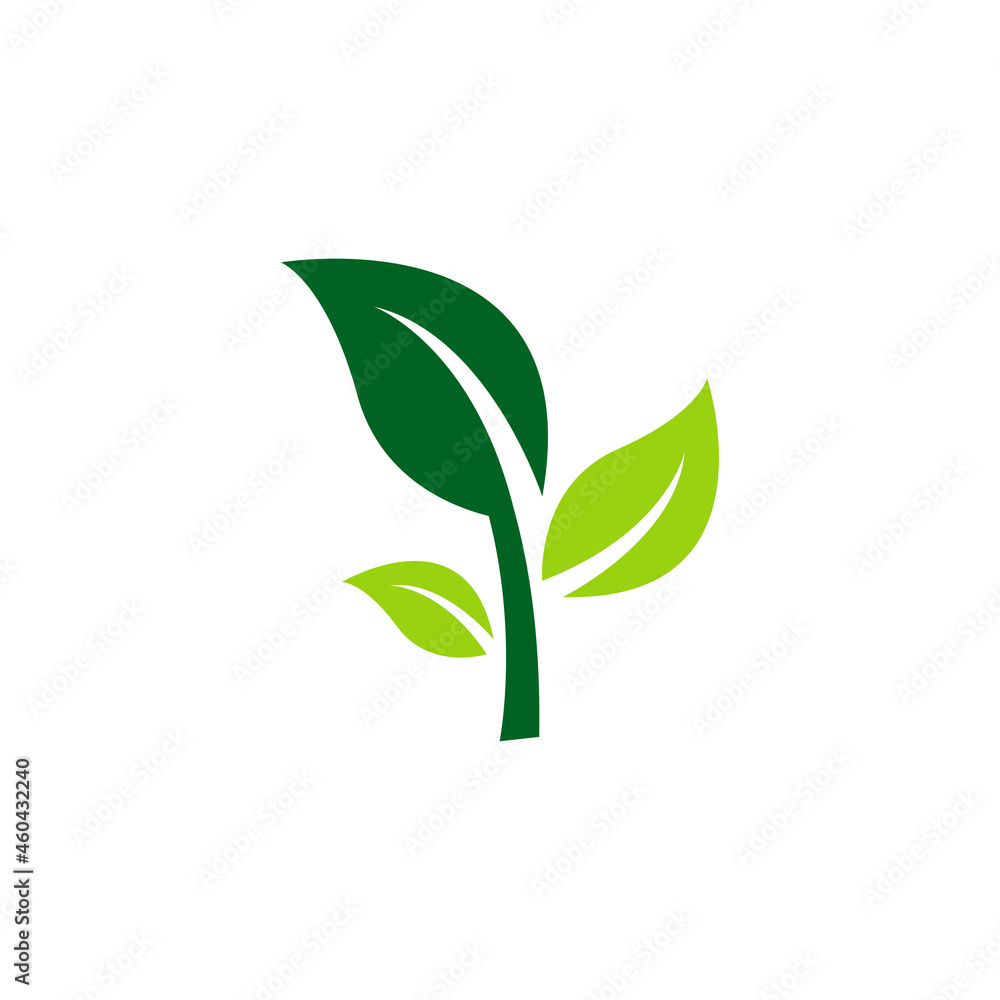 Obraz premium leaf logo icon design template vector