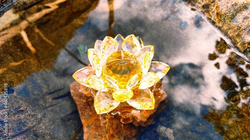 autumn leaves on a rock
