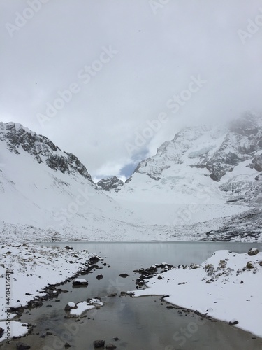 Snow grassland