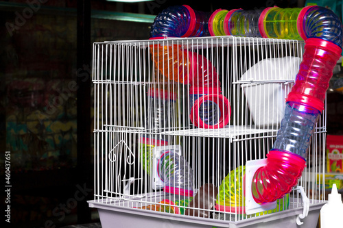 a cage for hamsters in a pet store with a lot of entertainment in the form of colorful pipes, along which rodents will run with pleasure