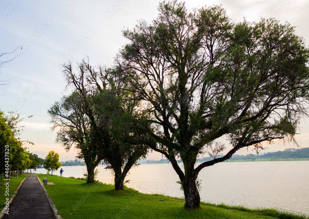 RIVERSIDE PARK. MAN ALONE IN PARK. SUNSET VIEW IN PARK. WATERFRONT RELAX AREA. WALKING ROUTE WITH WATER VIEW. LAKESIDE PARK IN AFTERNOON SUN RIVERSIDE PARK. MAN ALONE IN PARK. SUNSET VIEW IN PARK. WATERFRONT RELAX AREA. WALKING ROUTE WITH WATER VIEW. LAKESIDE PARK IN AFTERNOON SUN