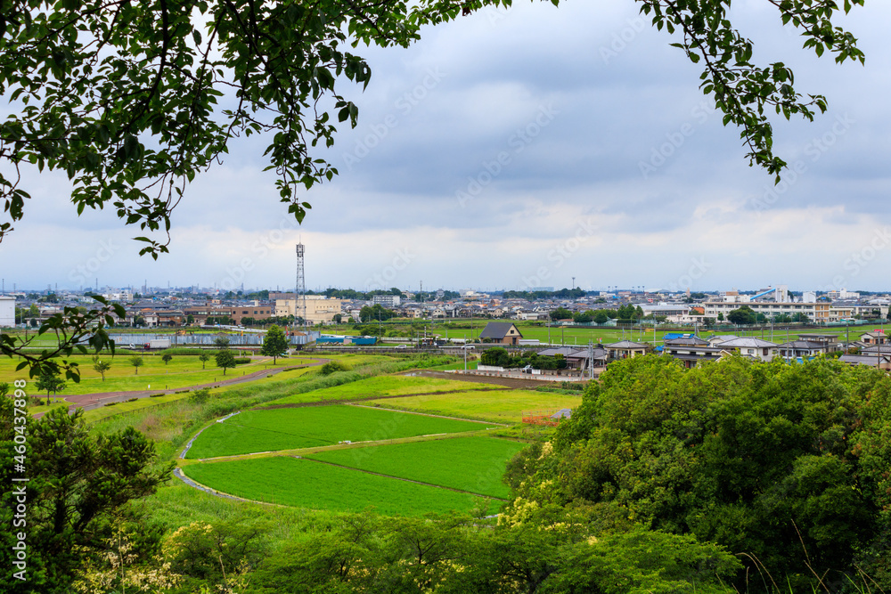 墓山古墳の墳丘からの景色