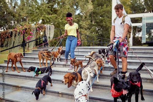 Canvas Print Smiling dog walker  in the street with lots of dogs