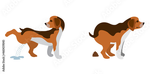 Pooping dog and pissing dog vector illustration. Dogs poop clip art, pet feces and dog vector silhouettes isolated on white background. Cute Dog shits and pisses.