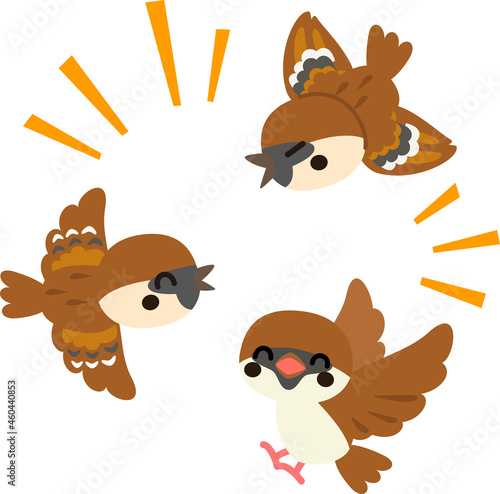 賑やかに鳴く3羽のスズメ