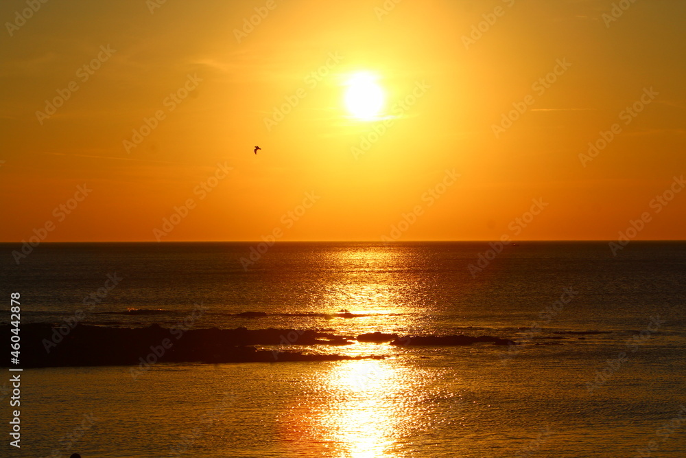 Sunset Sunrise Seascape Ocean Sea Background