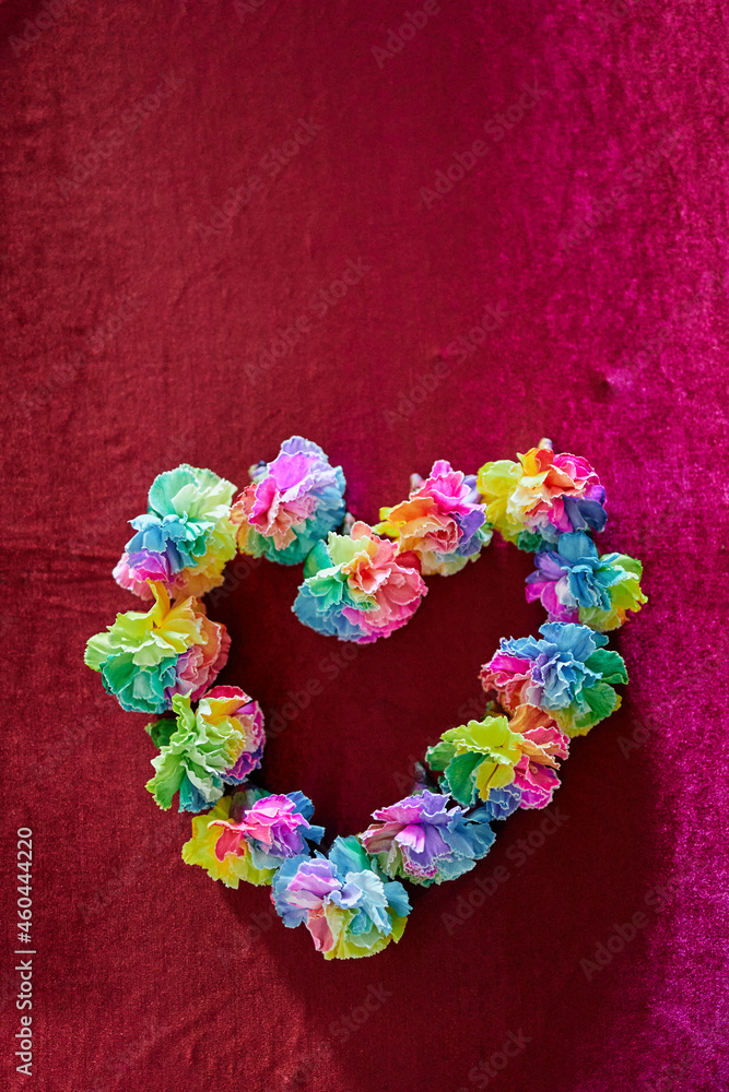 Symbol of LGBTQ or Mother's Day holiday. Beautiful heart made of colorful carnation flowers on red background. Rainbow color flowers in heart shape. High quality vertical photo