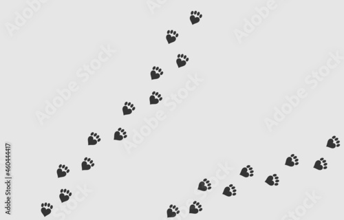 Heart shaped footprints of a cat or dog and white background