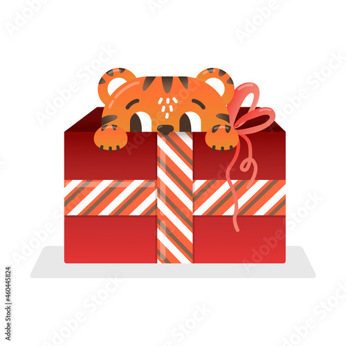 Vector illustration: Chinese Tiger in gift box. Symbol of the new year