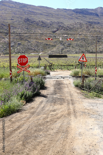 A picture of a railway line with a gravel road crossing it, and vineyards in the background.