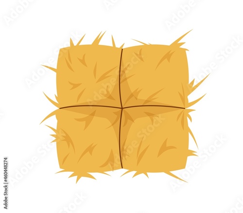 Tied wrapping of hay. Square bandaged roll of grass compact hayloft after harvesting grain preparation for feeding vector cattle.