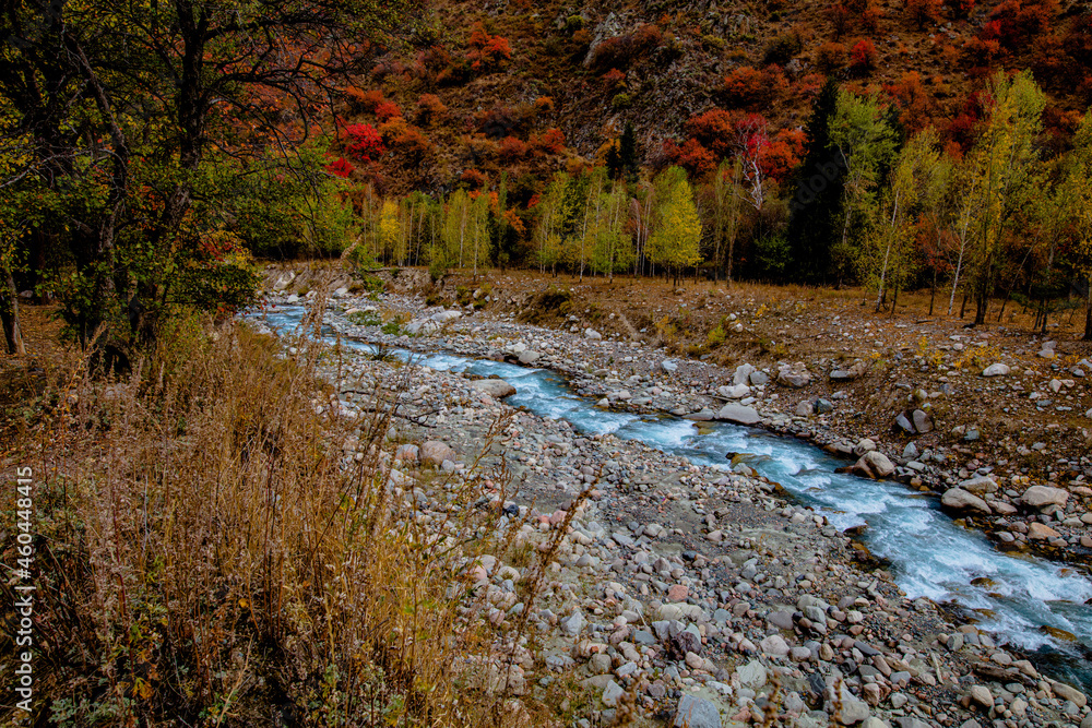 river in autumn forest