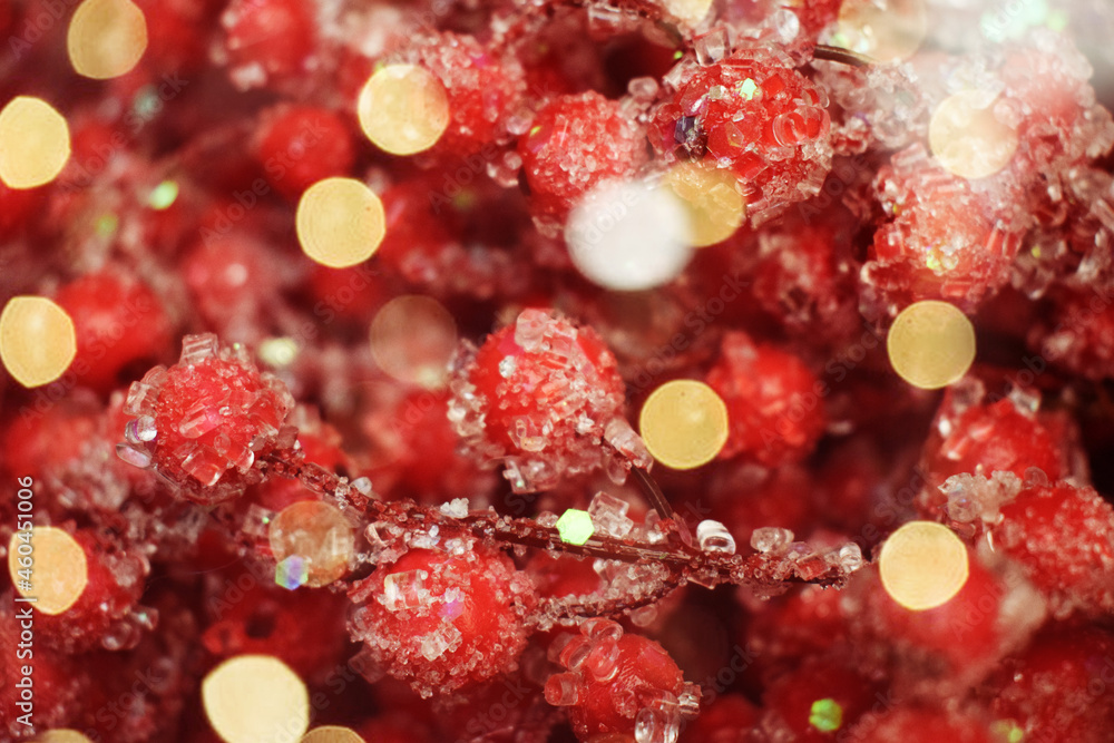 red berries with frost and bokeh red berries with frost and bokeh