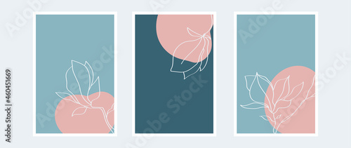 vector magnolia botanical wall art vector set blue tone boho foliage line art drawing with abstract shape. Vector illustration