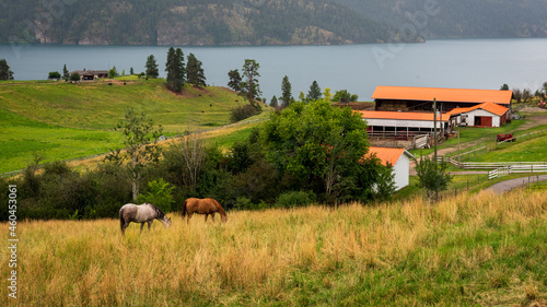 Tableau sur toile Traditional homestead along Okanagan Lake in British Columbia, Canada