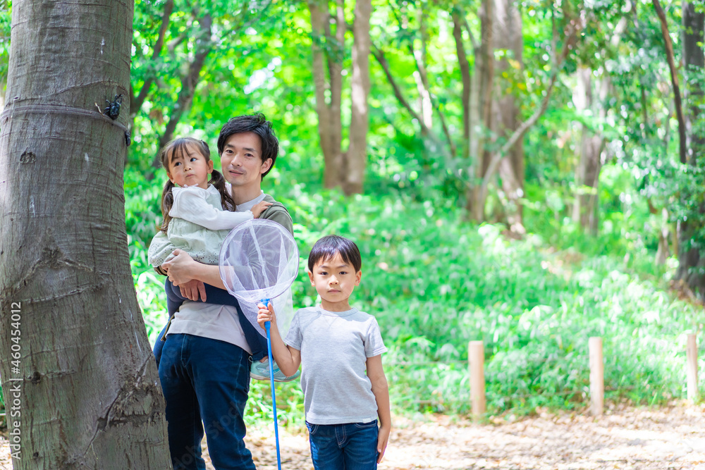 虫採りをするお父さんと子どもたち 虫採りをするお父さんと子どもたち