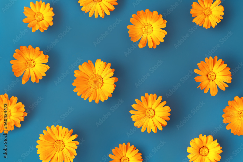 Beautiful background with orange marigold flowers pattern on blue backdrop. Colorful abstract background. Backdrop for your design. Flat lay style. Copy space.
