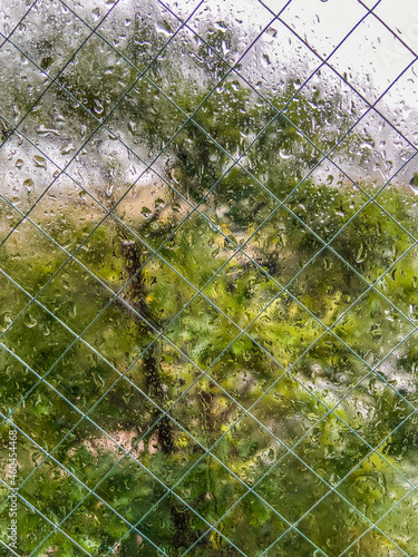 Texture of rain drops on glass window